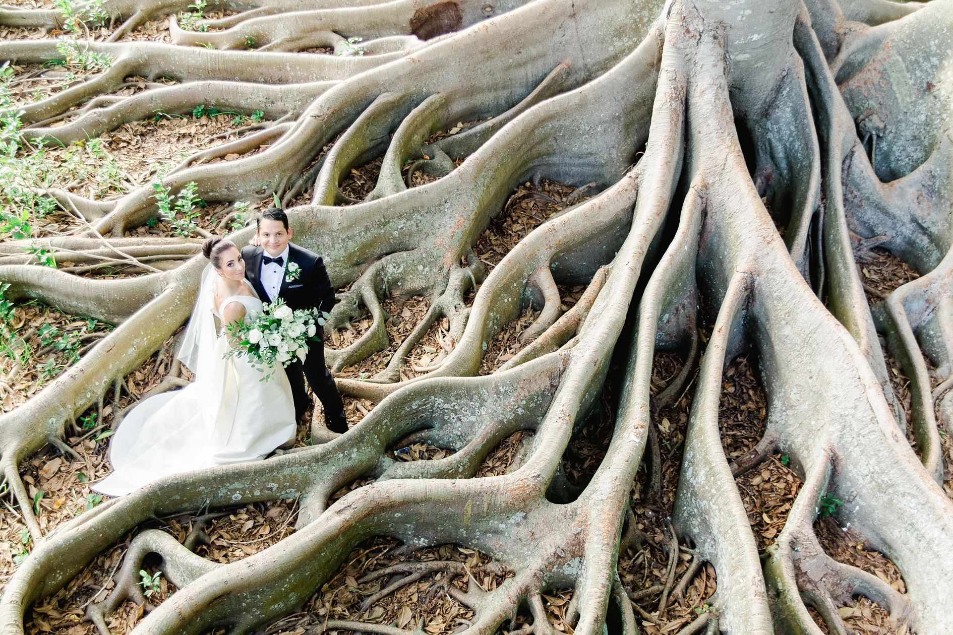 Photos by Ailyn La Torre Photography Marie Selby Botanical Gardens Wedding | © Ailyn La Torre Photography 2017