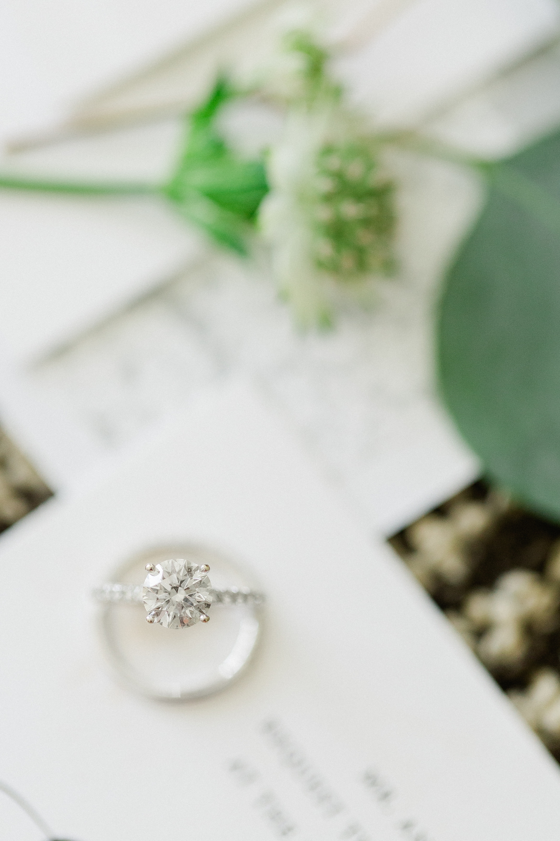 Marie Selby Botanical Gardens Wedding | © Ailyn La Torre Photography 2017