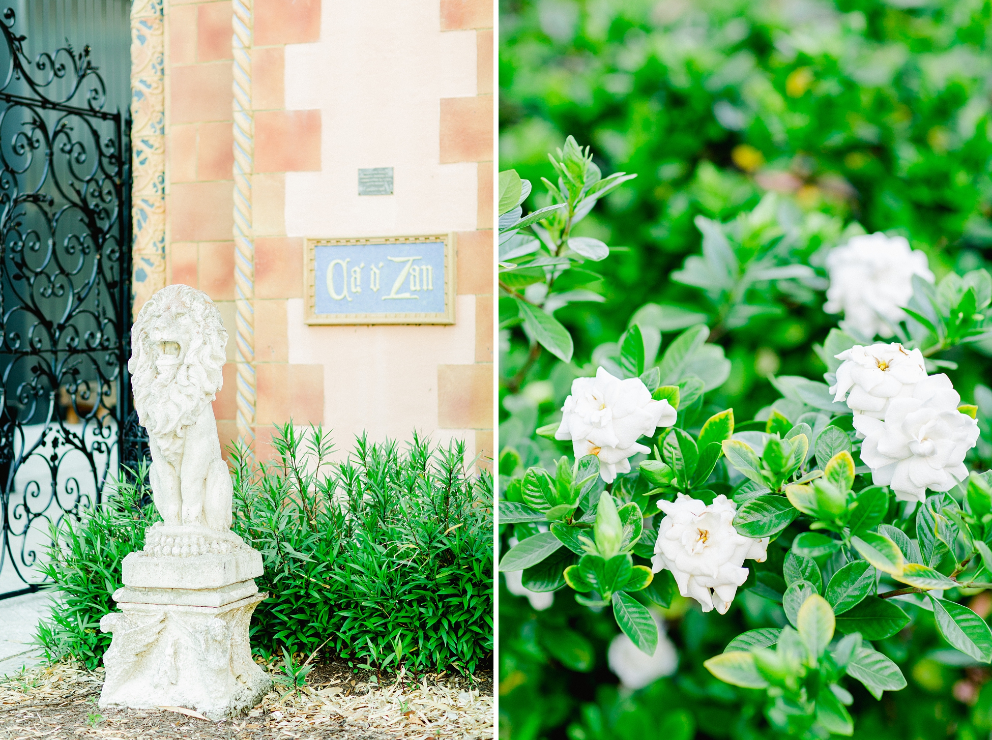 Ringling Museum Engagement | © Ailyn La Torre Photography 2019